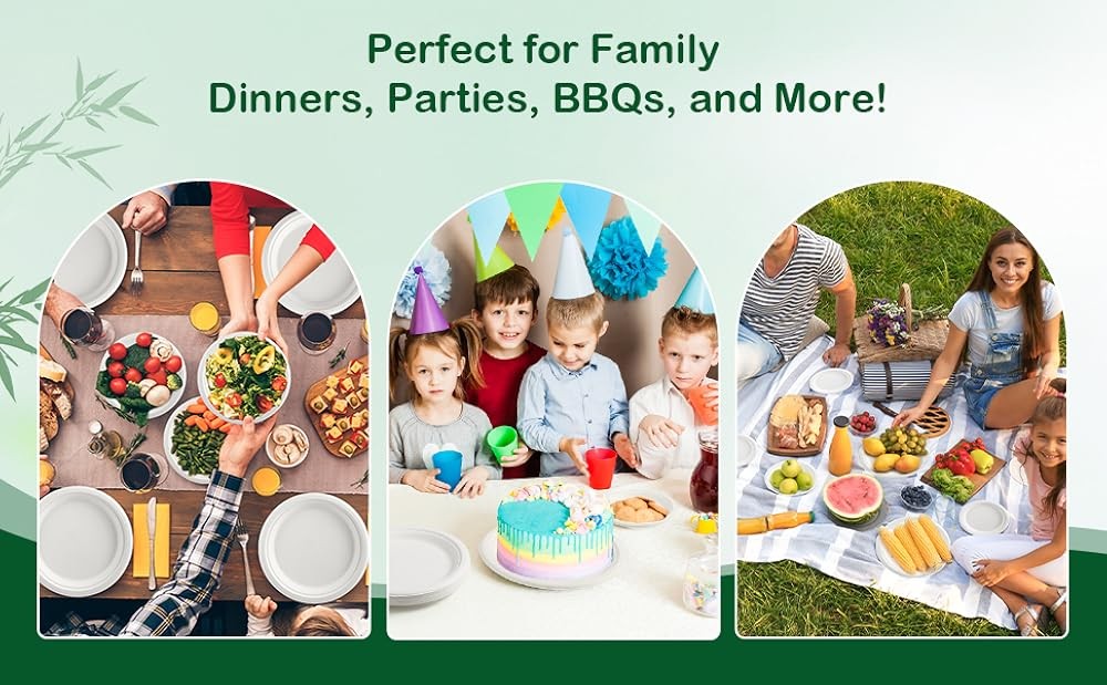 10 Inch postable Disposable Paper Plates, Lar Round Dinner Plates,