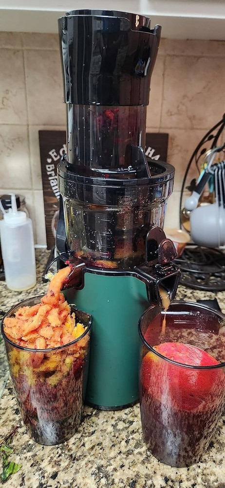 Slow Juicer Machine Masticating Cold Press Juicers Squeezer Vegetable Processor