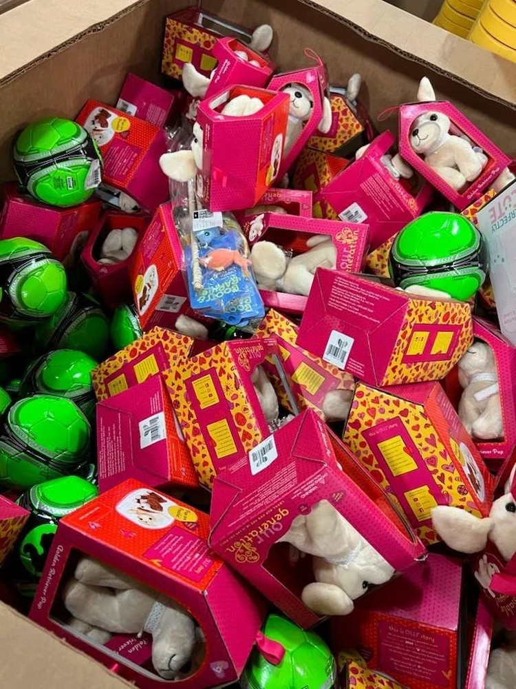 Amazon & Target Large Liquidation Box – All New Mixed Merchandise