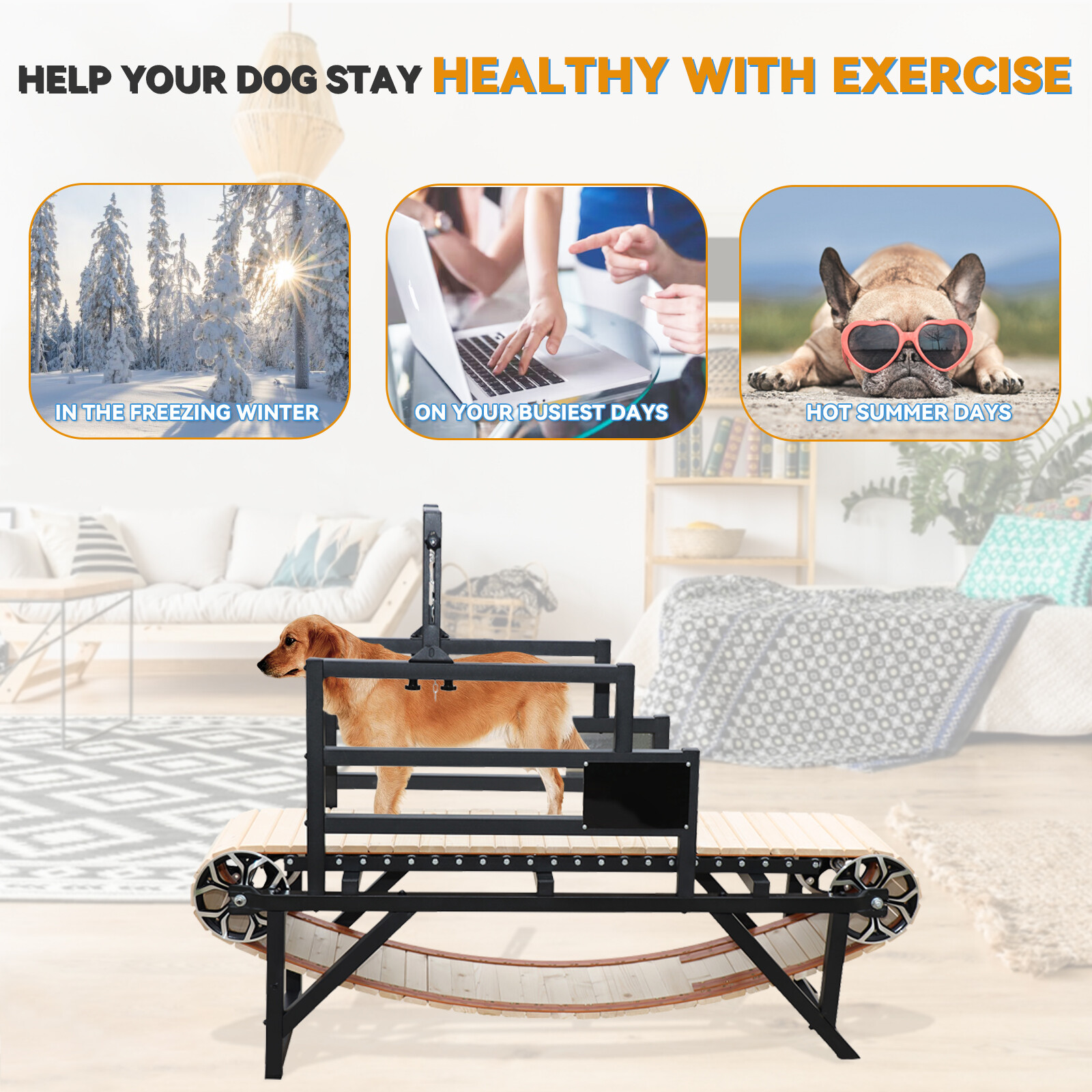 BowWowTread Dog Treadmill for Large Dogs, Dog Treadmill for Medium Dogs