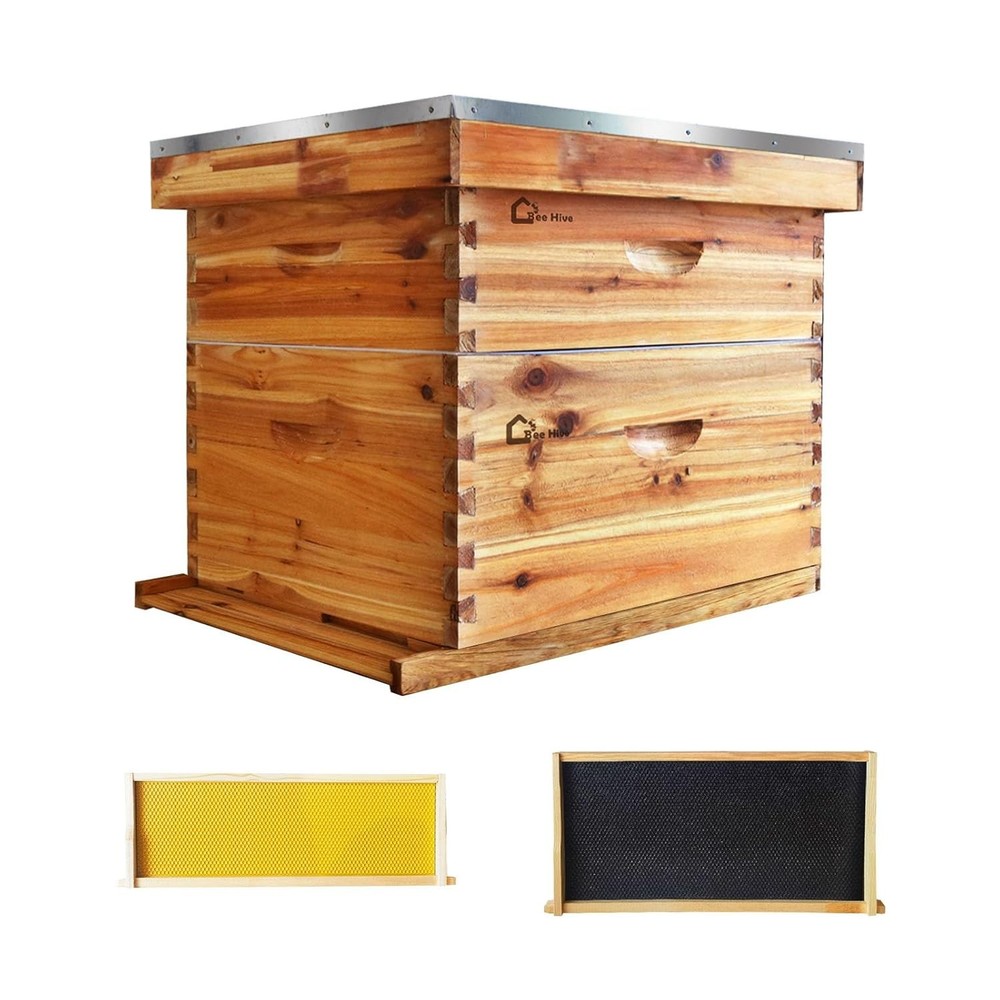 Beehive 10-Frame Langstroth Bee Hive Coated with Beeswax, Beehive Starter Kit