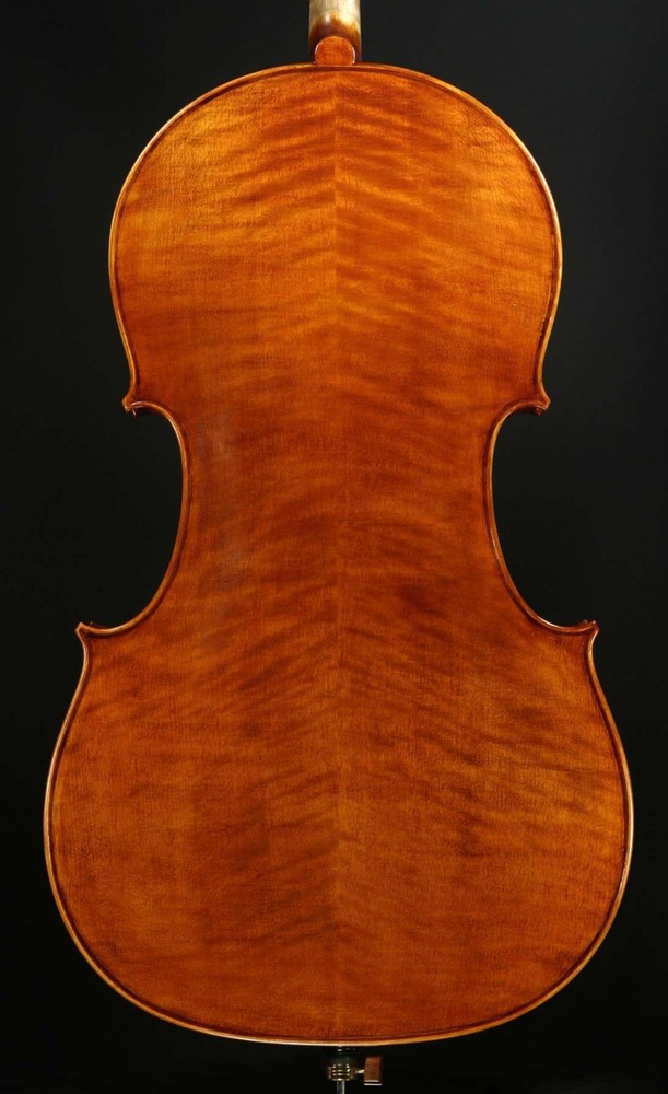 Snow SC200 Cello