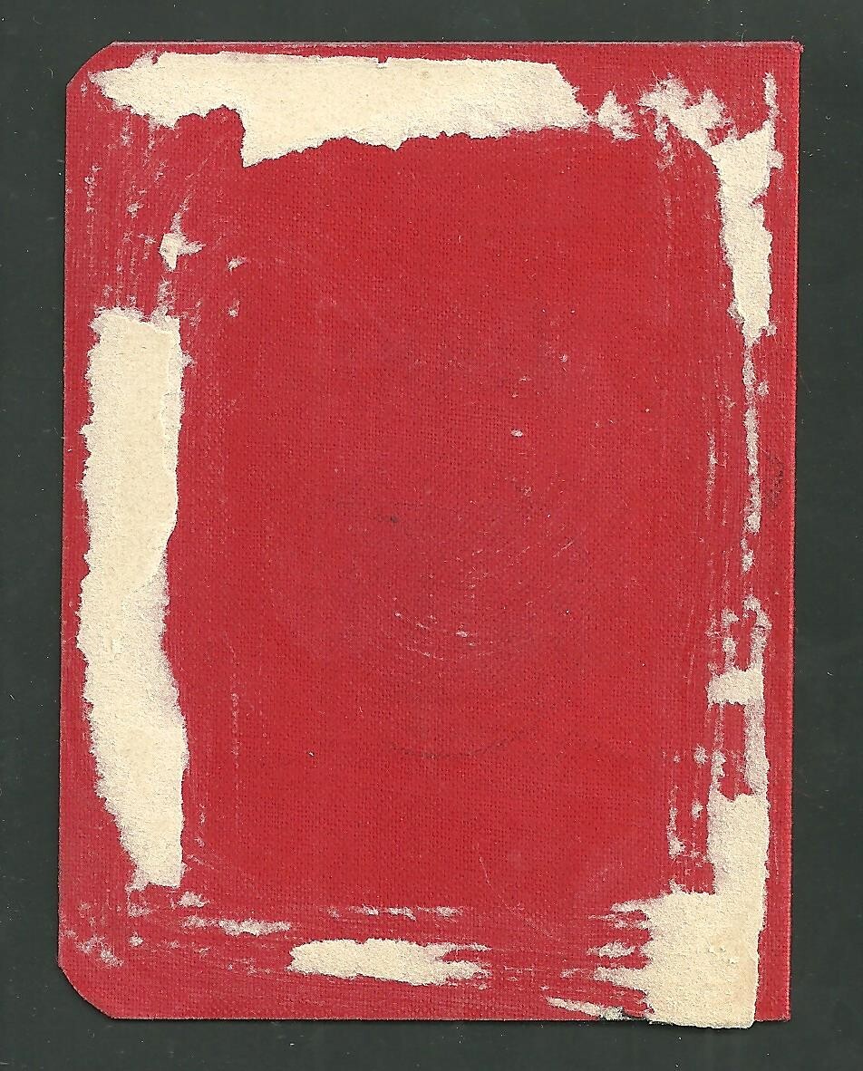 Algemeene Nederlandsche Wielrijdersbond Netherlands Cyclist Association Card