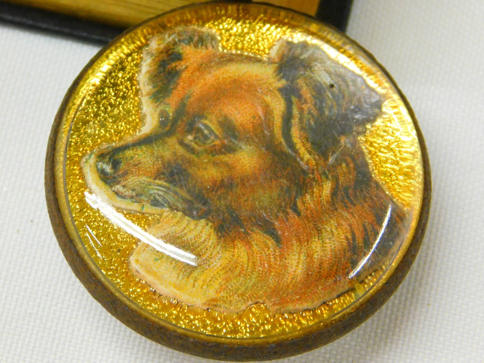 Vintage DOG BRIDLE ROSETTE Gold Foil Glass Terrier Pup 1.75" dia