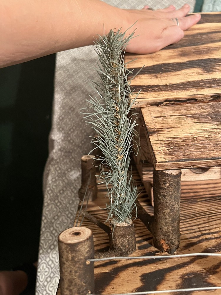 Hand Crafted Oak Bird House