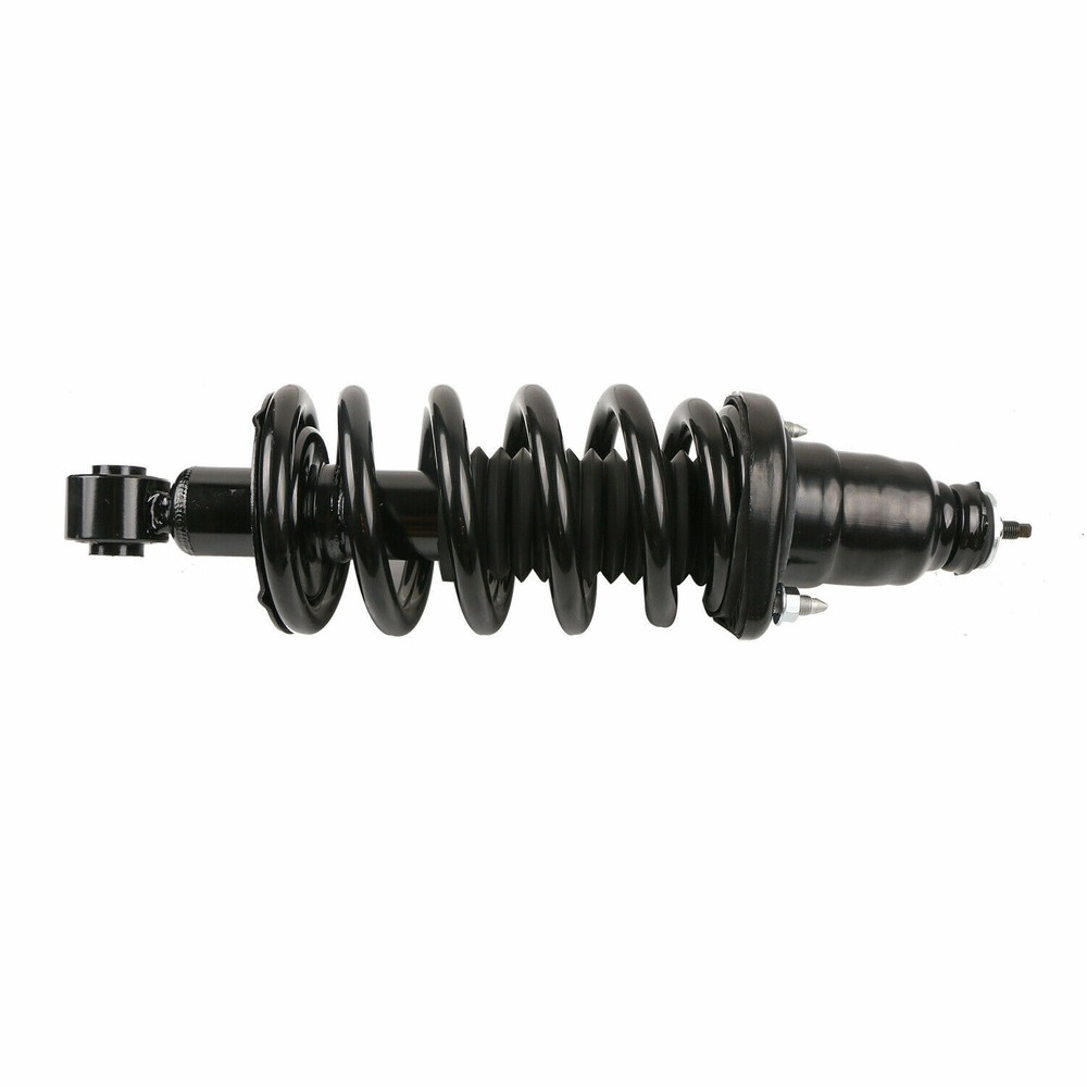 Pair Rear Complete Struts Shocks for 2003-2011 Honda Element 2.4L