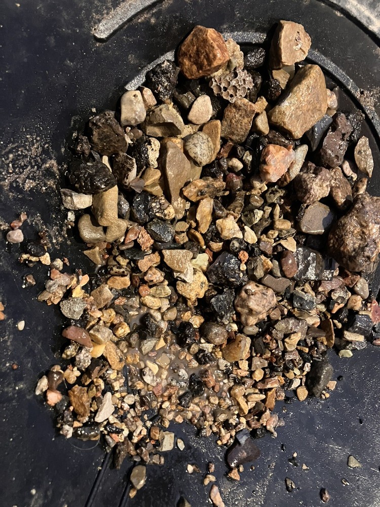 Placer Gold Pay dirt