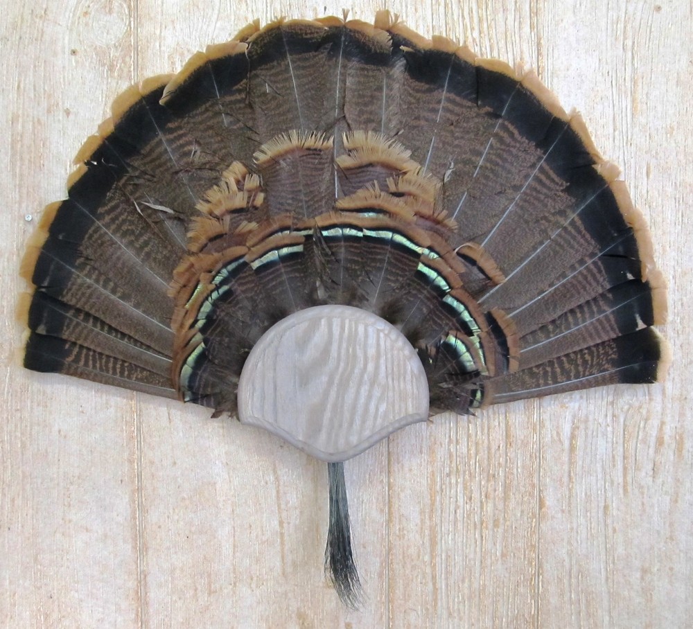Solid Weathered Wood Turkey Fan / Beard Mounting Kit -02