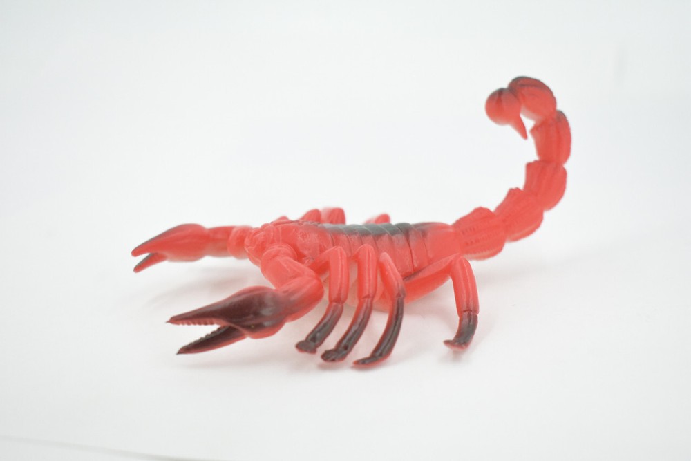 Scorpion, Red Black Big Solid Rubber Bug, Toy, Realistic Figure 5" ABC14 B263