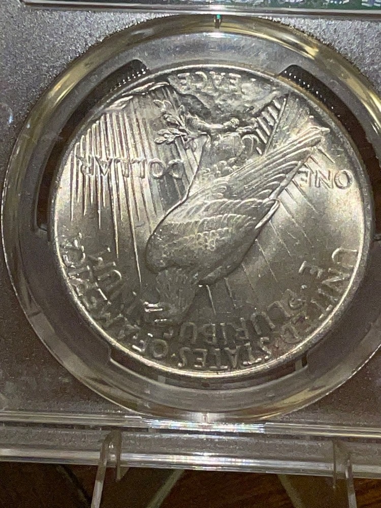 1925 Peace Silver Dollar MS63 PCGS