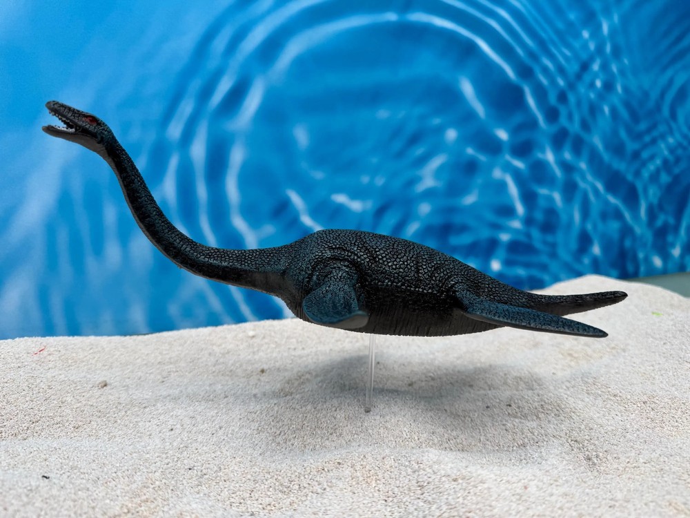 Plesiosaur