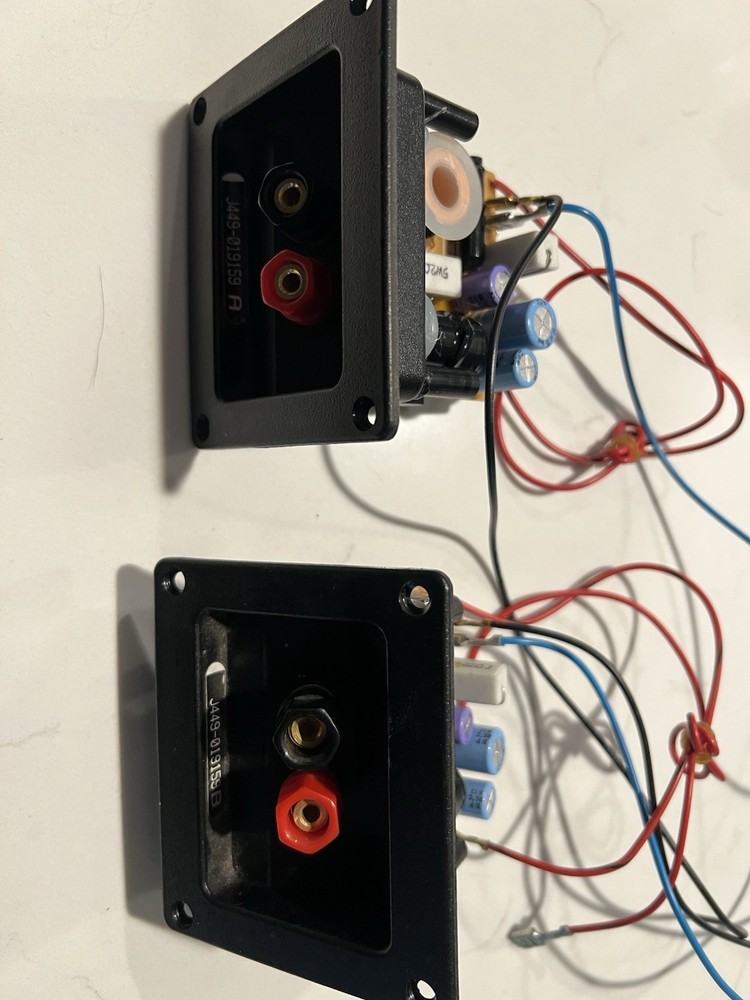 Infinity RS1  2/way Crossover/Terminal (2)