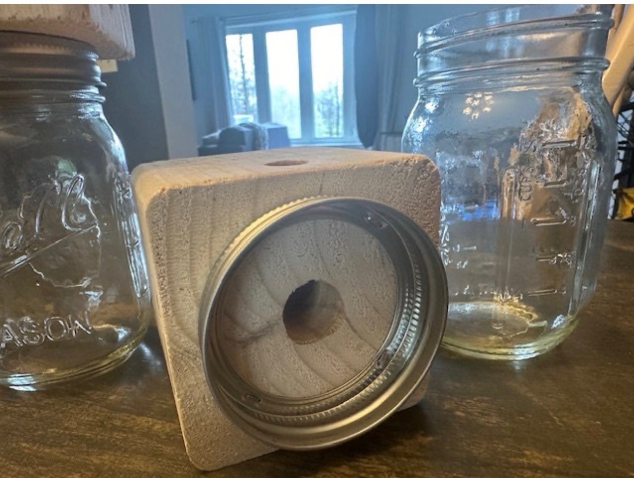 Carpenter Bee Traps SOFT PINE Boring Bee (Set of 2) FAST SHIPPING!!