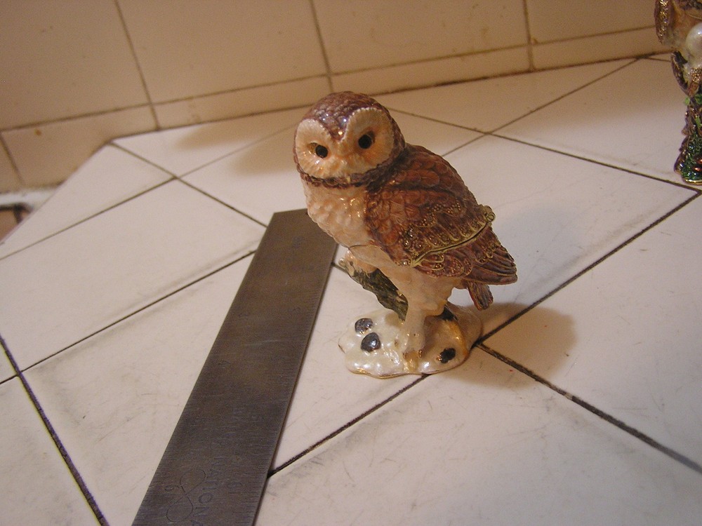 Rucinni Owl Trinket