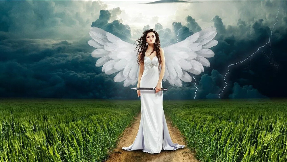 NEW PRO Photo Graphic Design Digital Image Editing Software | GIMP w/ Guide USB