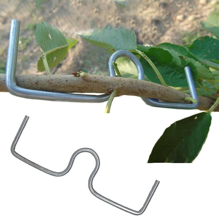 Fruit Tree Branch SpreaderTree Branch Limb Spreader Bonsai Branch Training Mo...