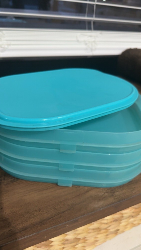Tupperware Fridge Stackables Deli Meat Cheese Cold Cuts & PICK A DELI