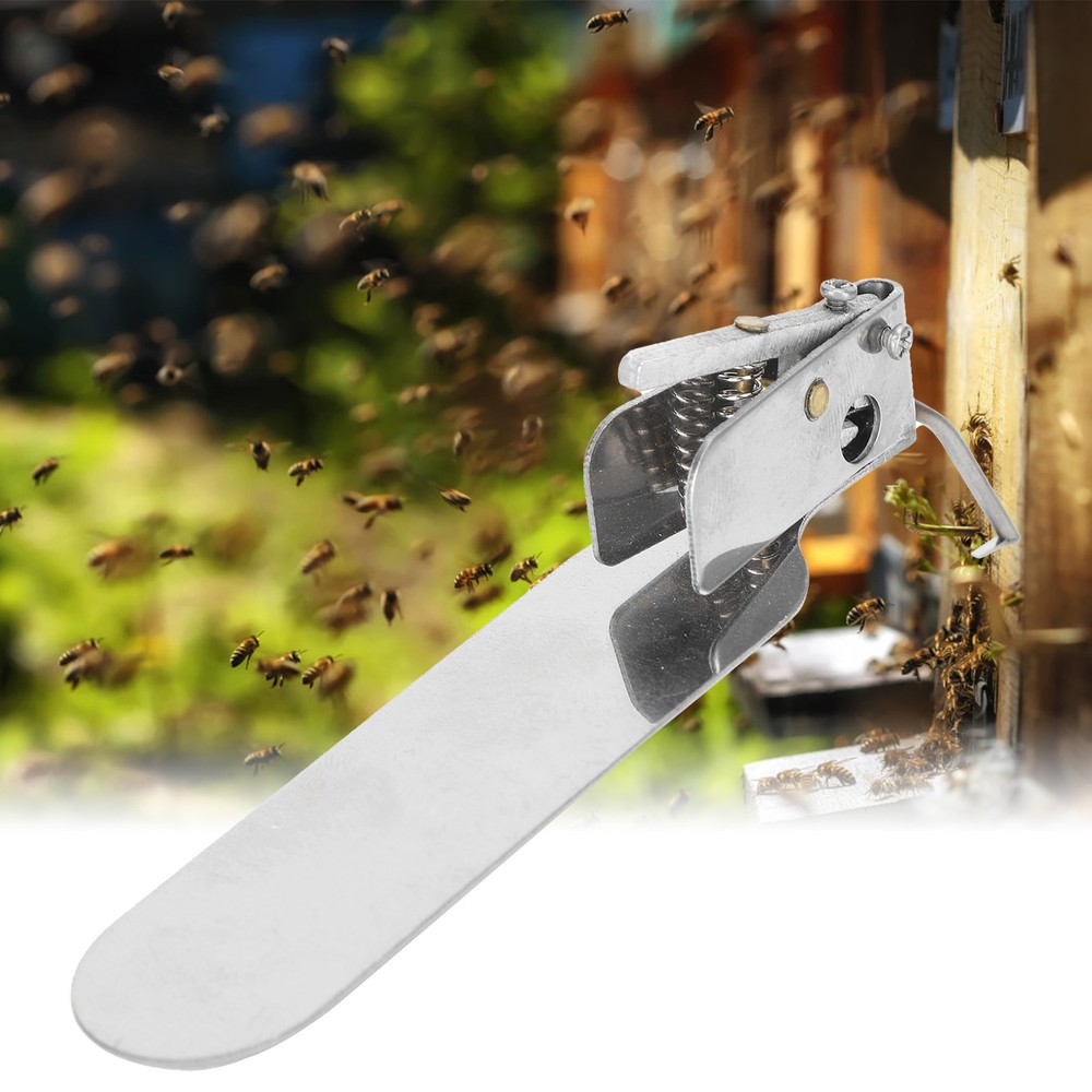 Beekeeping Grafting Tool Single‑End Queen Bee Larva Grafting Needle AC