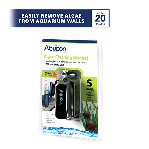 Aquarium Algae Cleaning Magnets Small