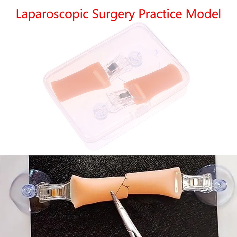 Laparoscopic Surgery Simulation Intestinal Anastomosis Training Module Intestine