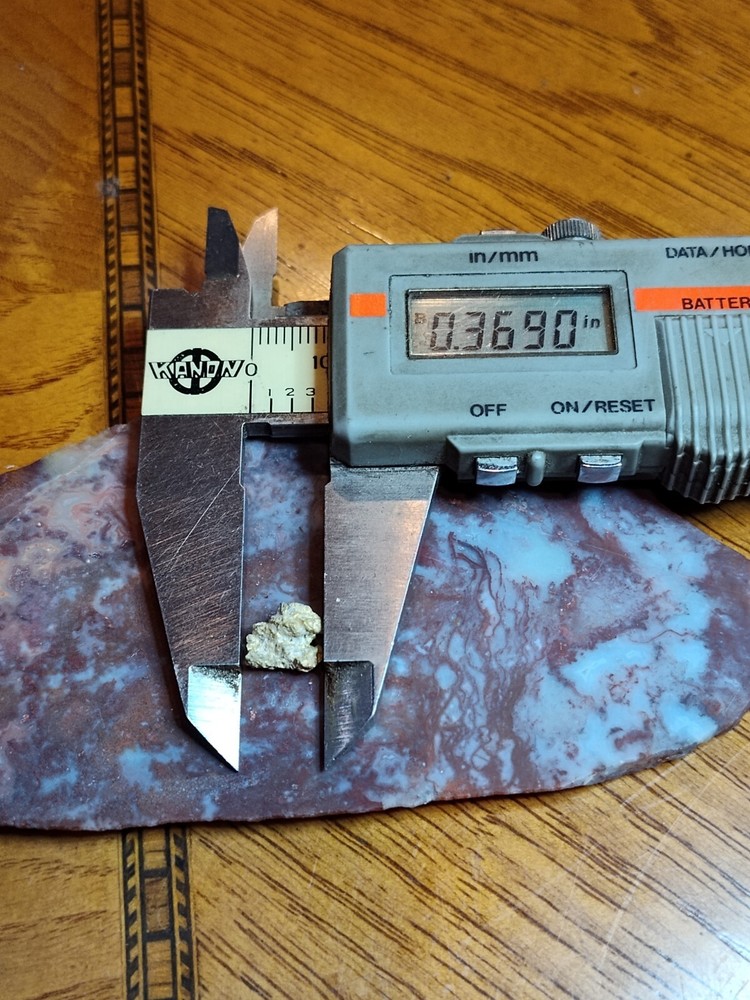 Northern California Lode Nugget