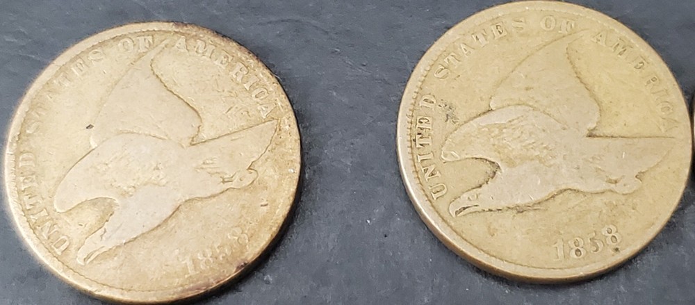 9 Mixed Flying Eagle & Indian Cent Collection