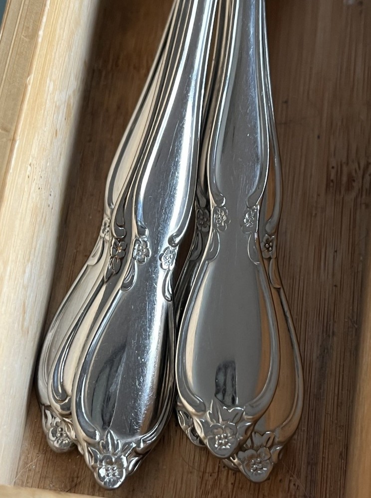 Oneida Community Chatelaine 49 piece Stainless Flatware Set *READ*