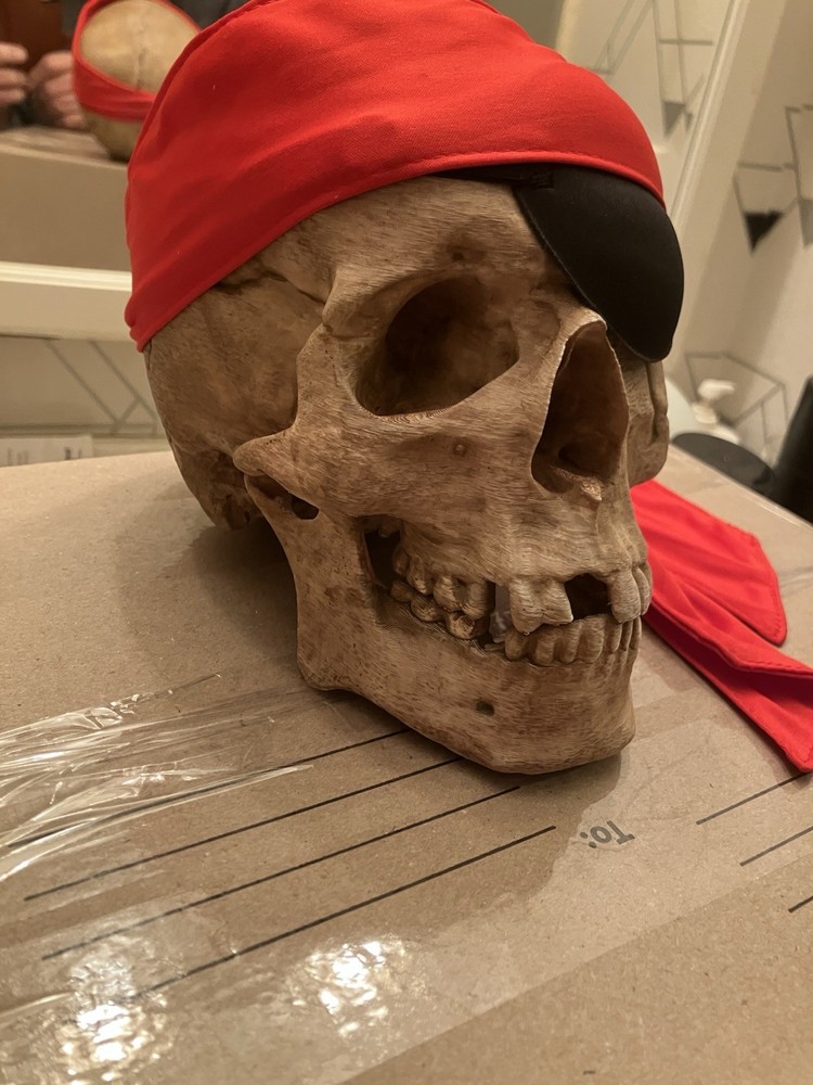 From The Goonies. One Eye Willie Skull