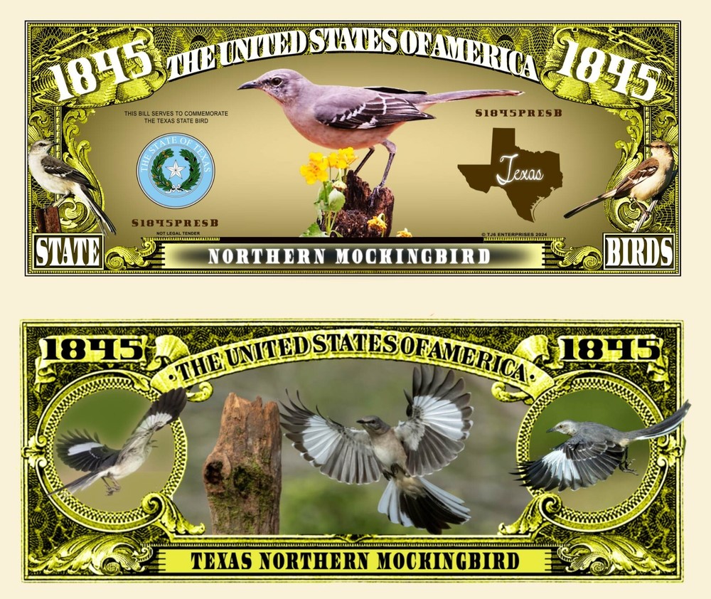 OUR TEXAS NORTHERN MOCKINGBIRD NOVELTY NOTE  (2 EA)