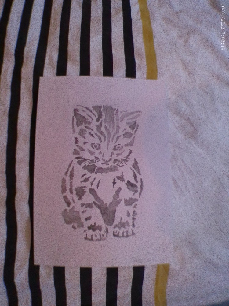 Baby Cat Pencil Drawing, Unique