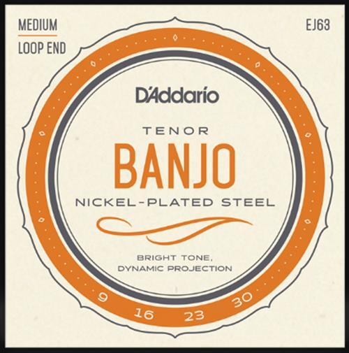 D'Addario EJ63 Medium Loop End Tenor Banjo Strings 9-30