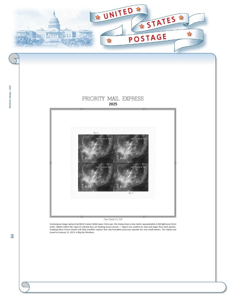 2025 U.S. Regular Issue Plate Block Supplement (White Ace Alternative)