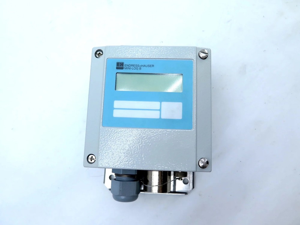 Endress + Hauser RDL10-S1C1D6 Mini-Log B
