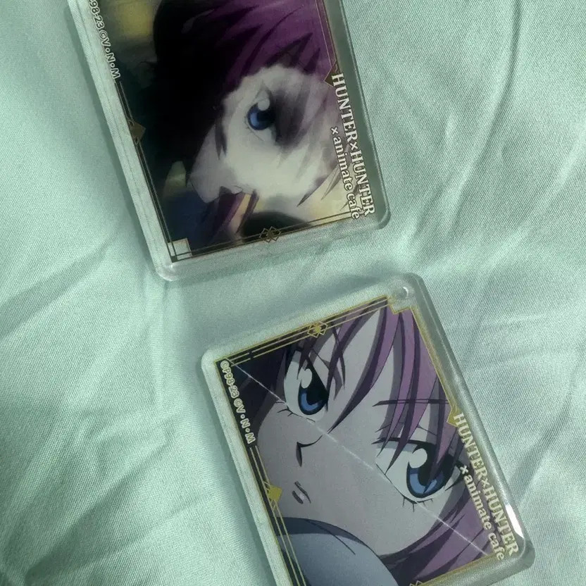Hunter x Hunter Acrylic Hunter Hunter Welcome Corps