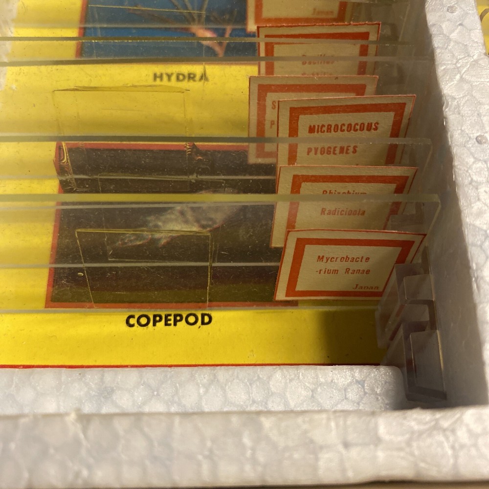 Milben Microscope 22/24 Prepared Slides Bacteria & Blood ***Missing 2 Slides***
