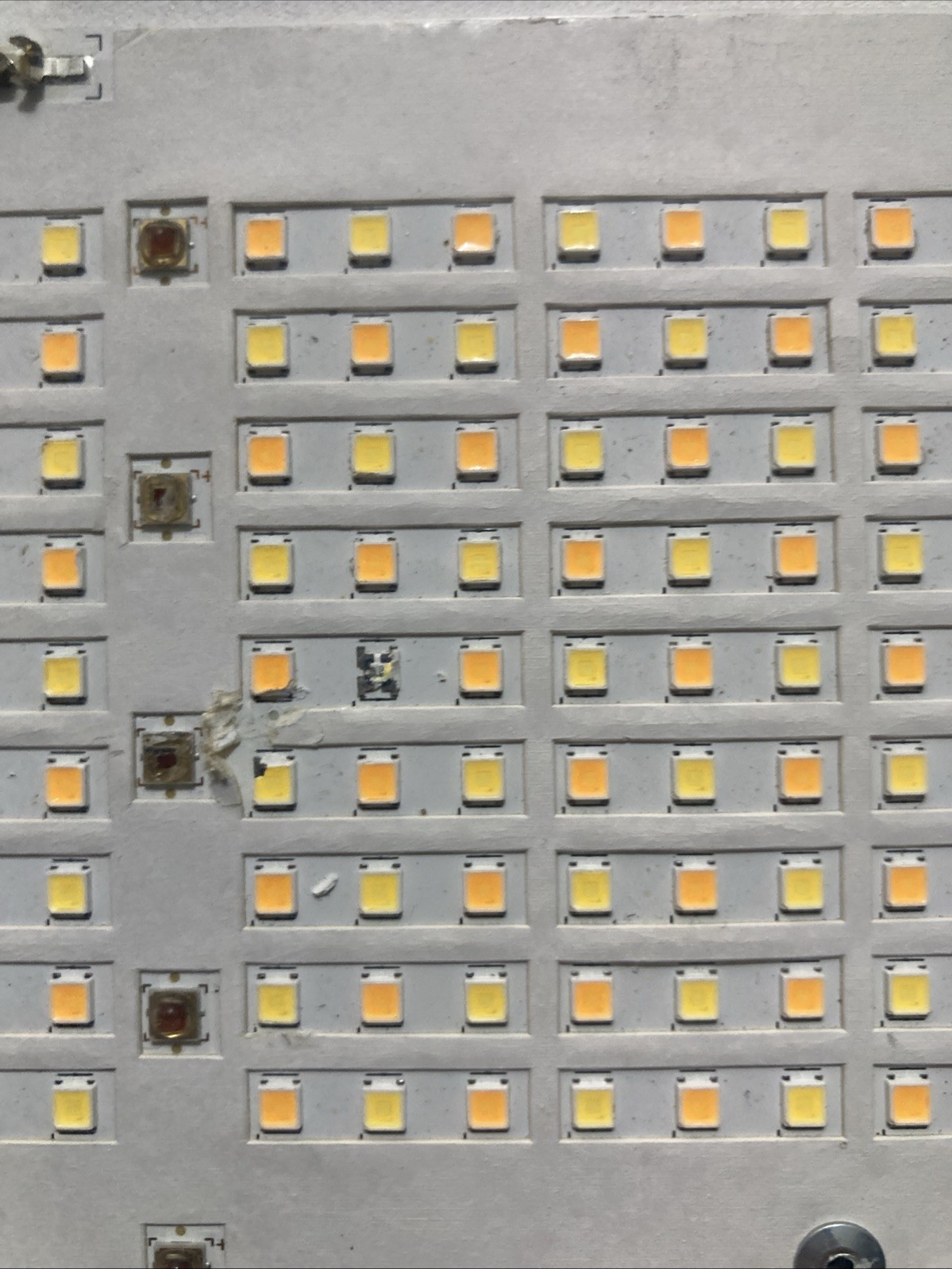 HLG 650R LED Grow Light Used Indoor Plant Growing Light