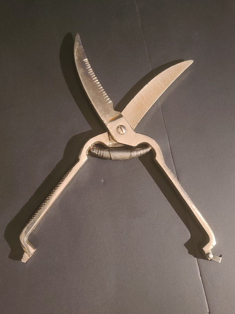 Vintage Poultry Chicken Shears Scissors Kitchen Tool Spring Opening UNMARKED