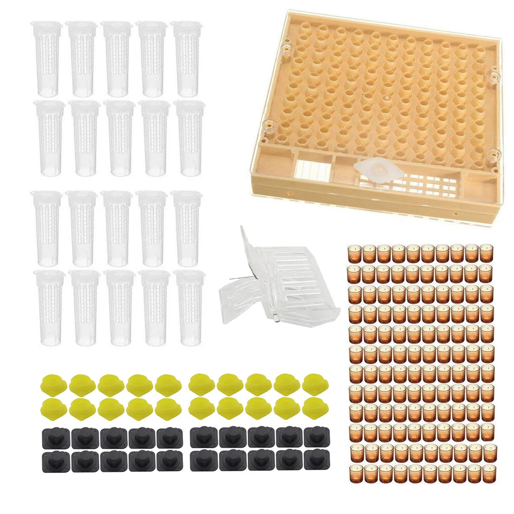 Complete Queen Rearing System Kit King Cultivating Box Plastic Bee Cells Cups