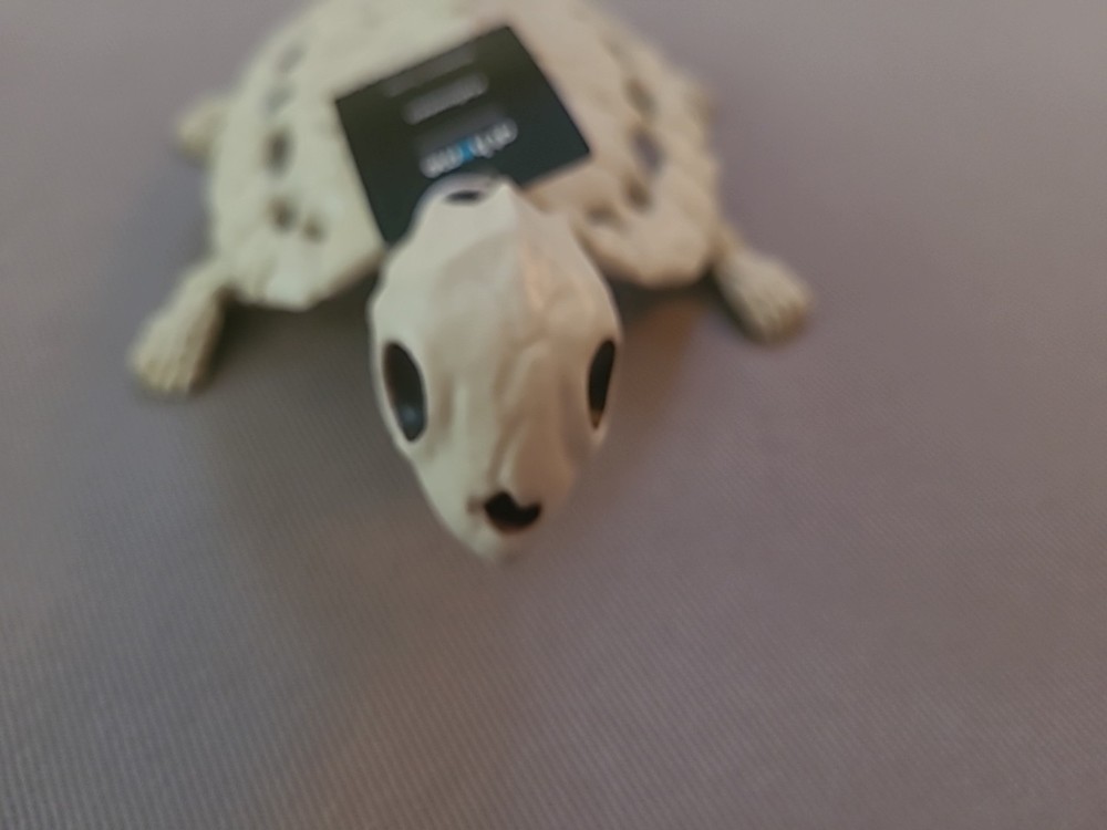 8" Skeleton Turtle Prop
