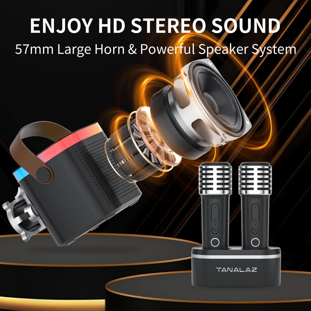 Karaoke Machine with 2 Wireless Microphones and Base, Mini Bluetooth Singing ...