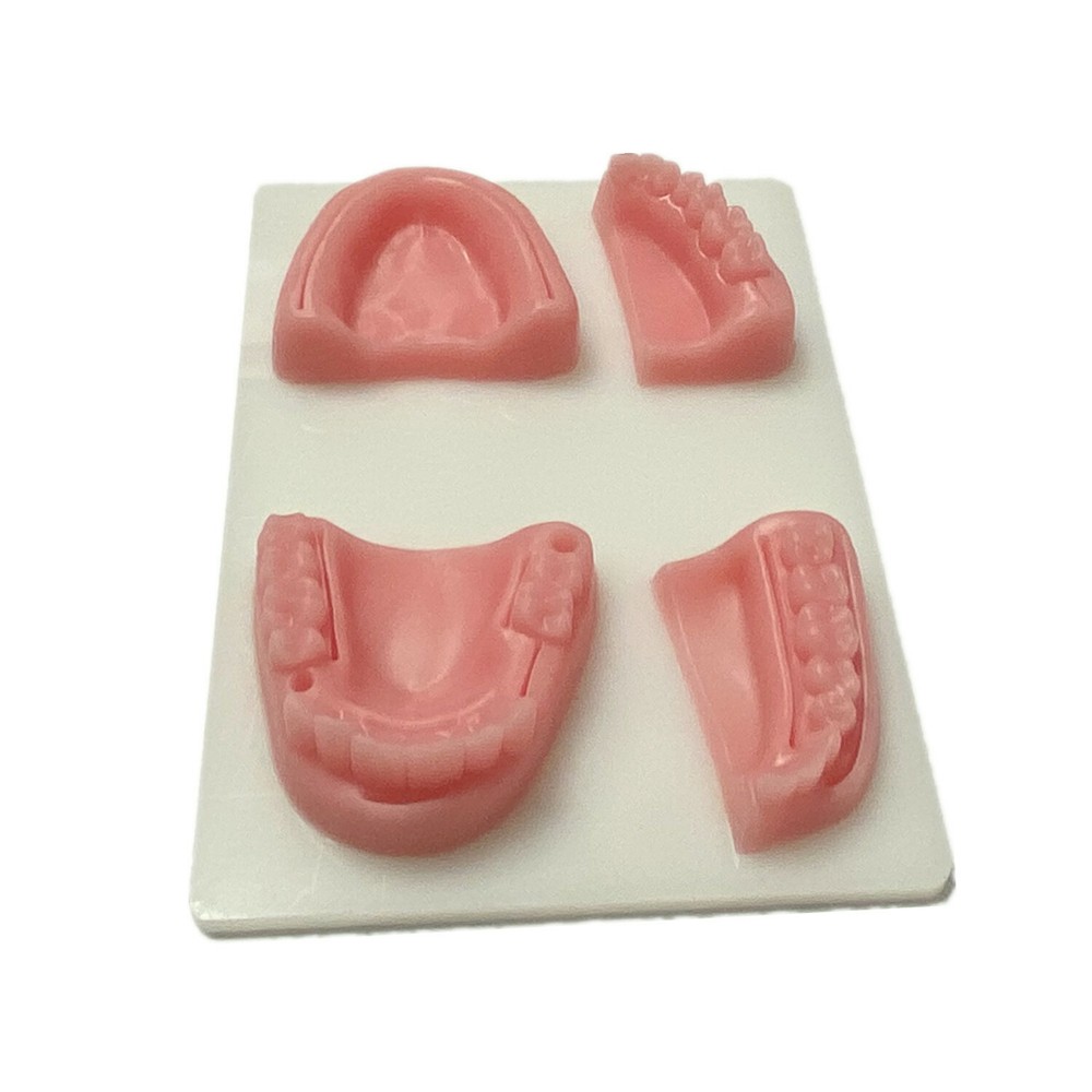 1X Dental Simulation Suture Model Gum Teaching Training Sutures Dentist Practise