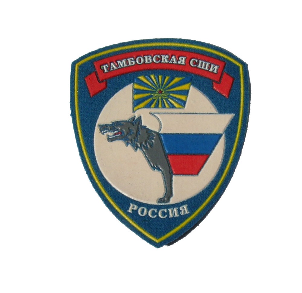 Russian Air Force Tambovskaya Sleeve Patch