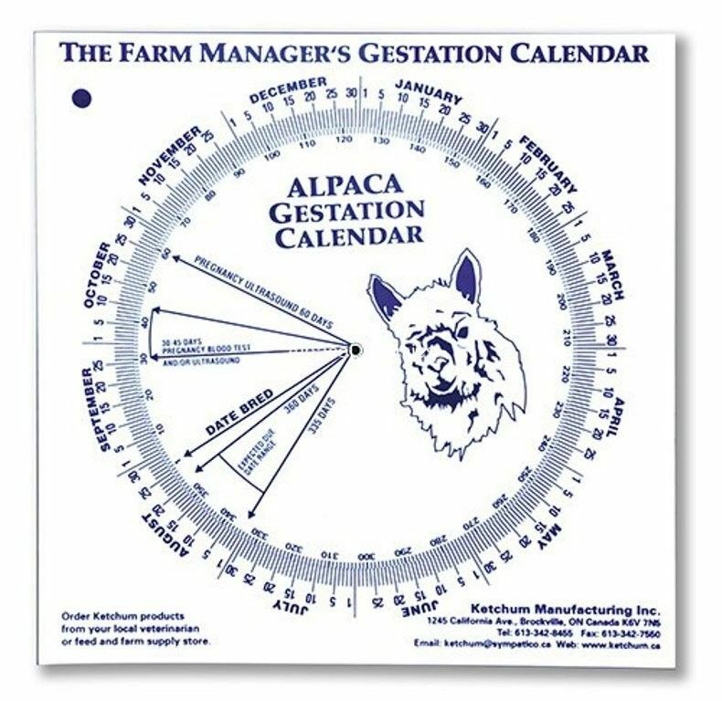 Alpaca Gestation Calendar Calculate Birth Breeding Conception Birthing Date