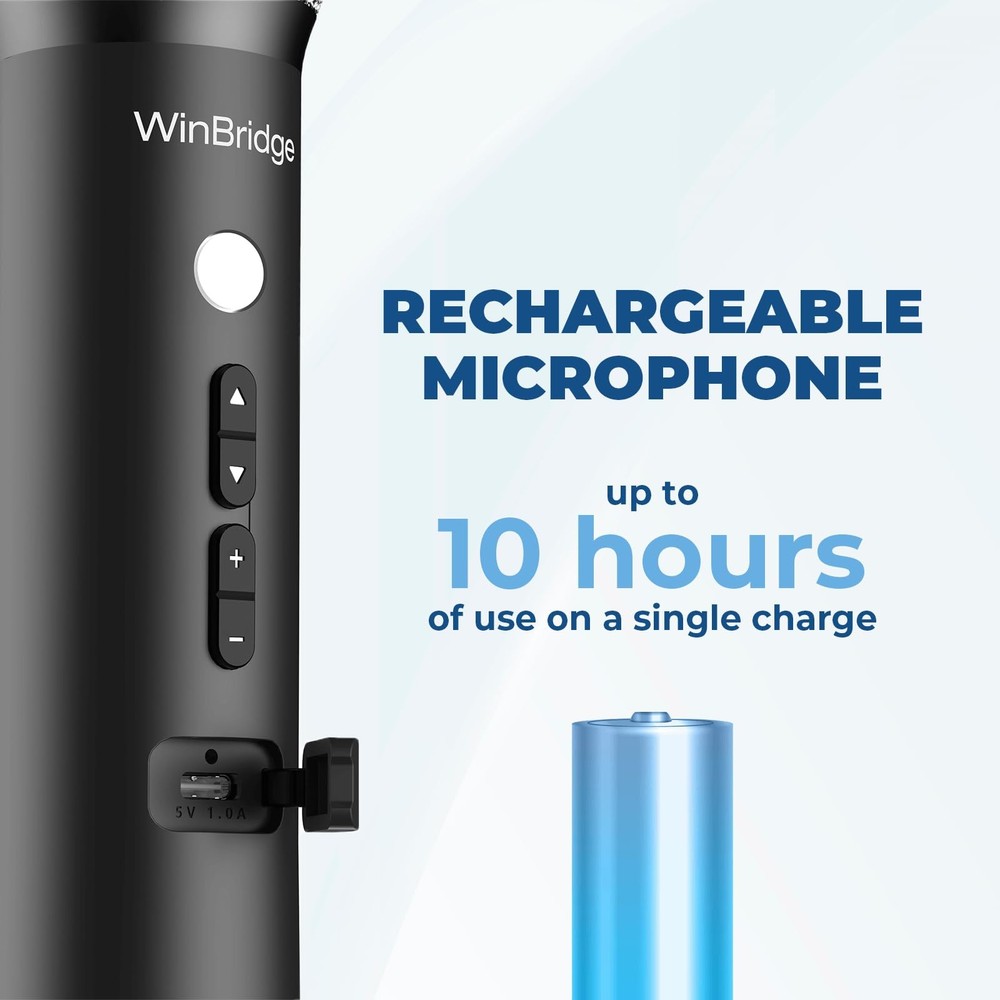 Bluetooth Microphone Wireless Voice Amplifier, Professional Intelligent Noise...