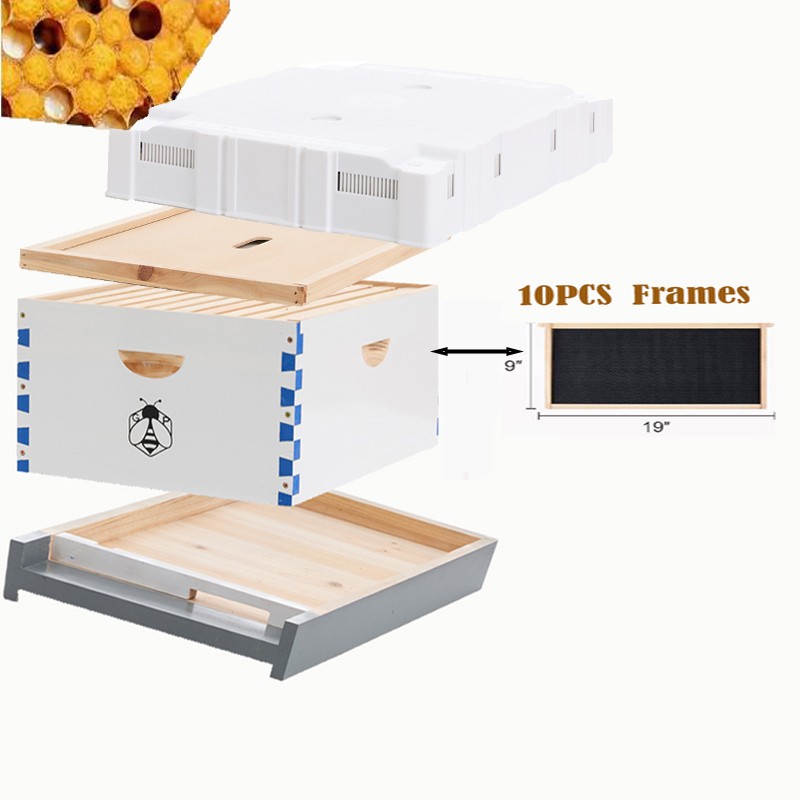 Beehive Langstroth House Beekeeping Kit 10 Deep Layer &10 Medium Frames + Cover