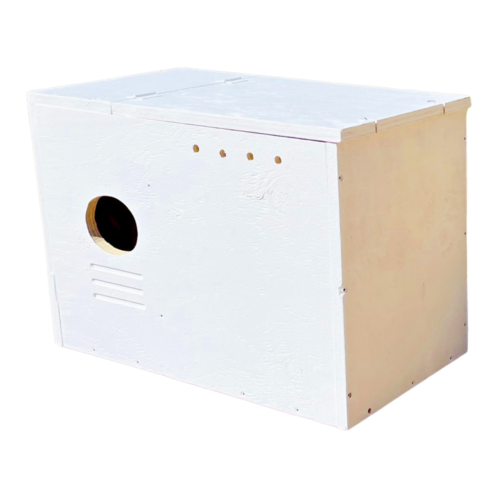 Barn Owl Nesting Box
