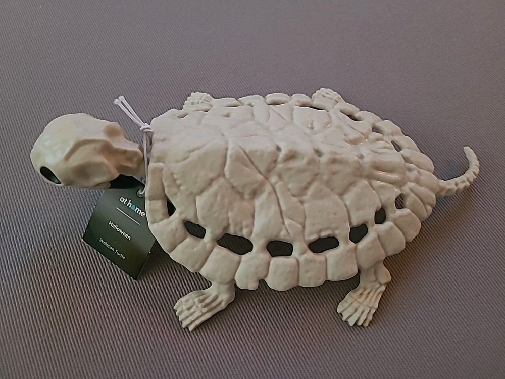 8" Skeleton Turtle Prop