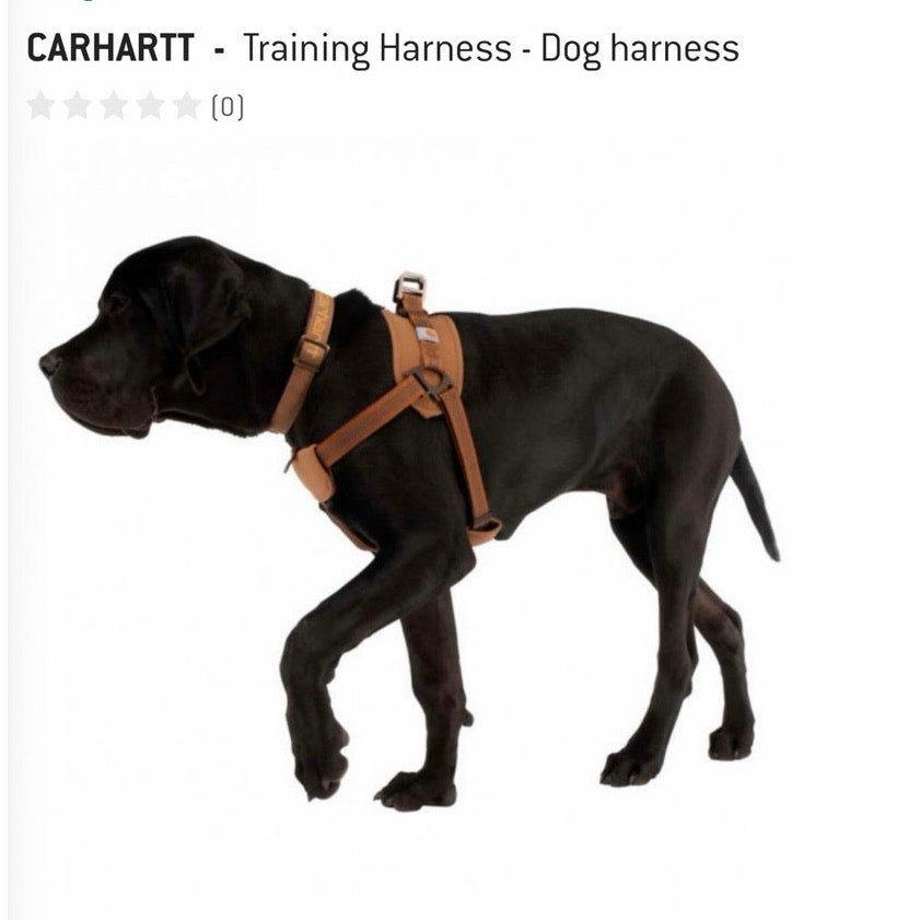 Carhartt Training Dog Harness - Durable & Comfortable Sz. L