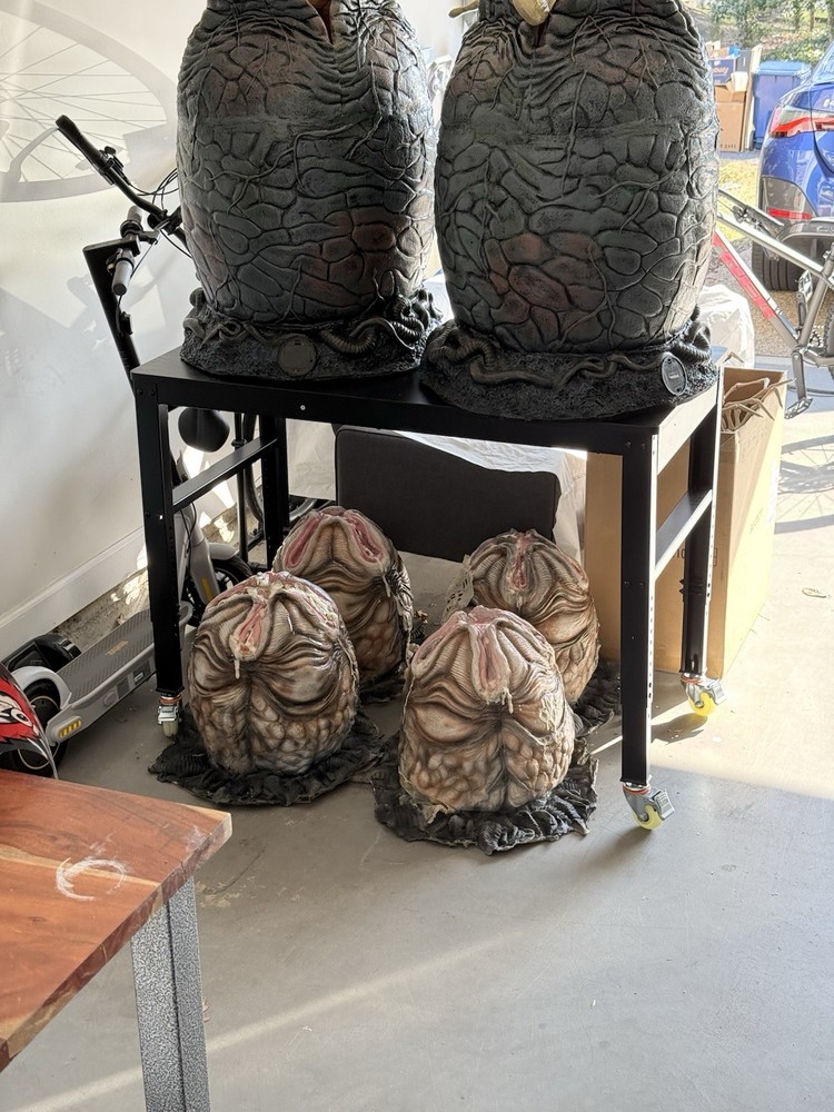 Alien/Xenomorph Eggs