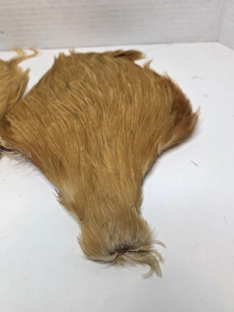 Two Ginger Saddle Hackles Fly Tying Materials Unbranded